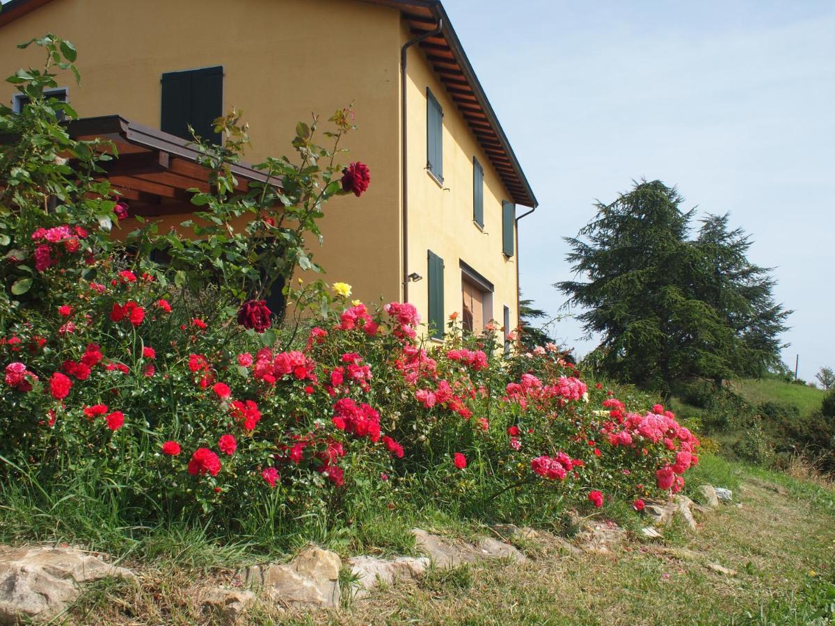 Case Crovina Salsomaggiore Terme Exteriör bild